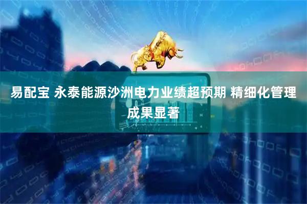 易配宝 永泰能源沙洲电力业绩超预期 精细化管理成果显著