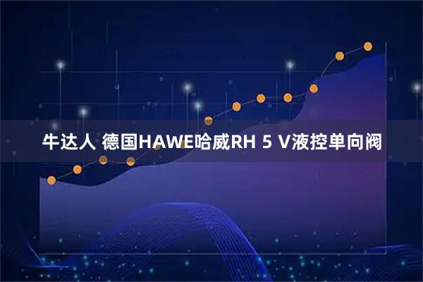 牛达人 德国HAWE哈威RH 5 V液控单向阀