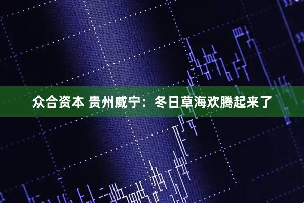 众合资本 贵州威宁：冬日草海欢腾起来了