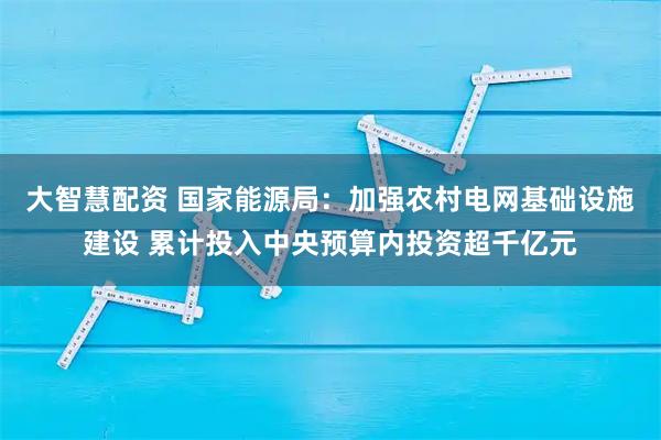 大智慧配资 国家能源局：加强农村电网基础设施建设 累计投入中央预算内投资超千亿元
